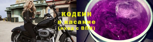 спиды Богданович