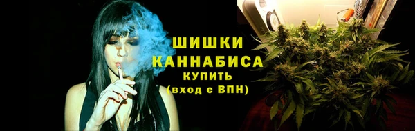 спиды Богданович