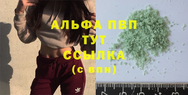 СК Богородицк