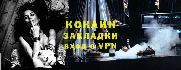 спиды Богданович