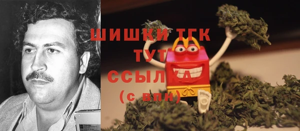 скорость Богородск