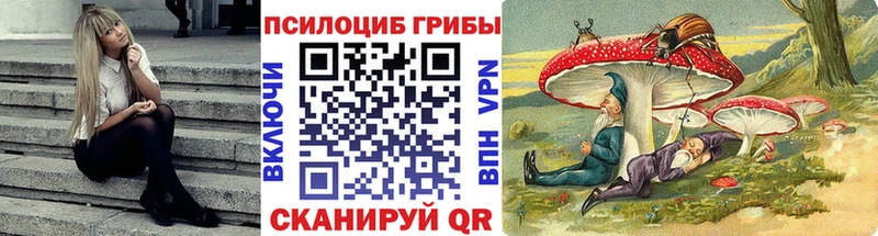 MEGA   Переславль-Залесский  Псилоцибиновые грибы Magic Shrooms  где купить  